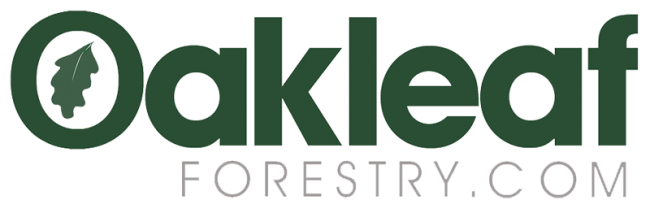 Oakleaf Logo green text transparent background 800px