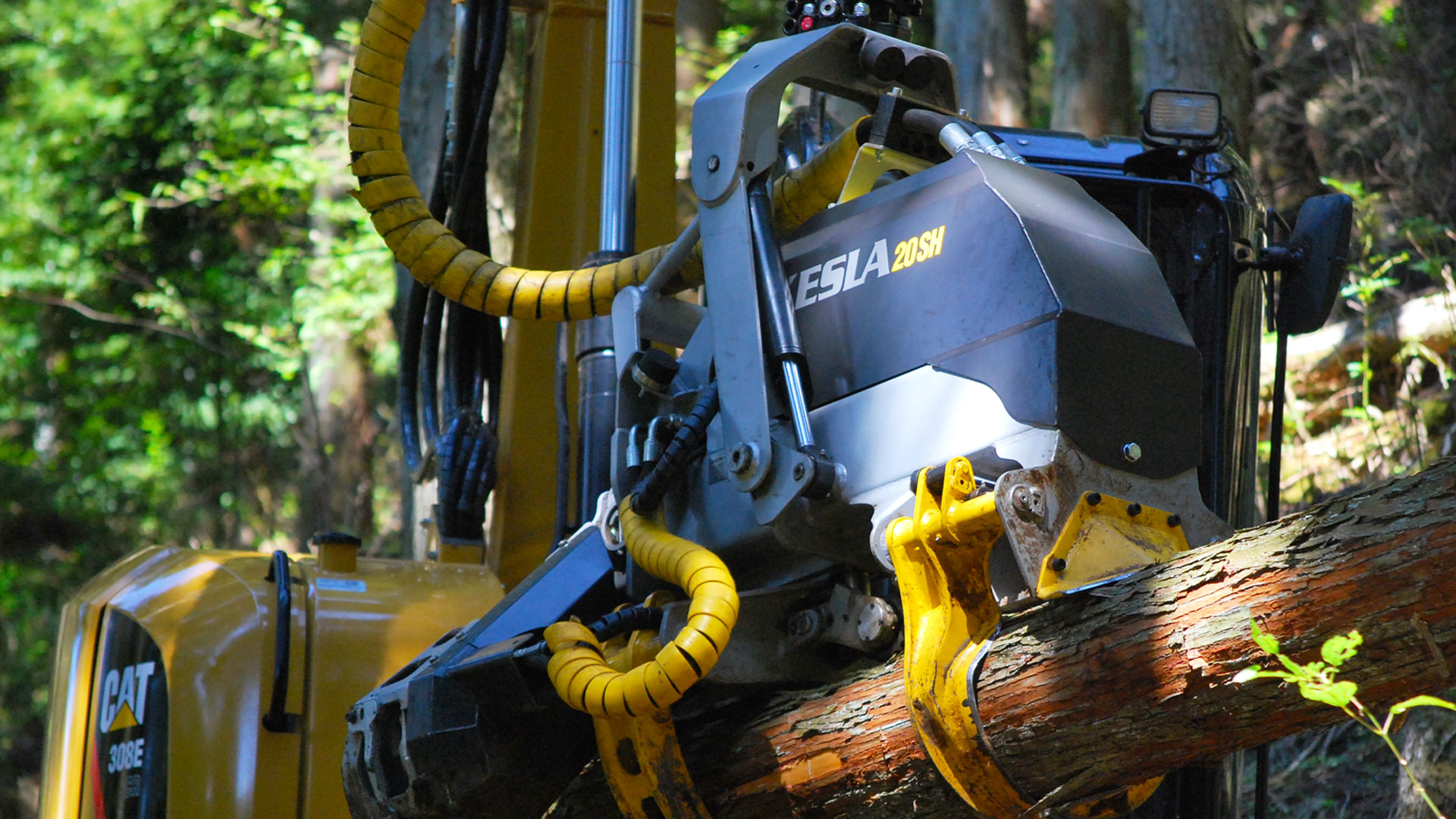 Oakleaf slider 8 web