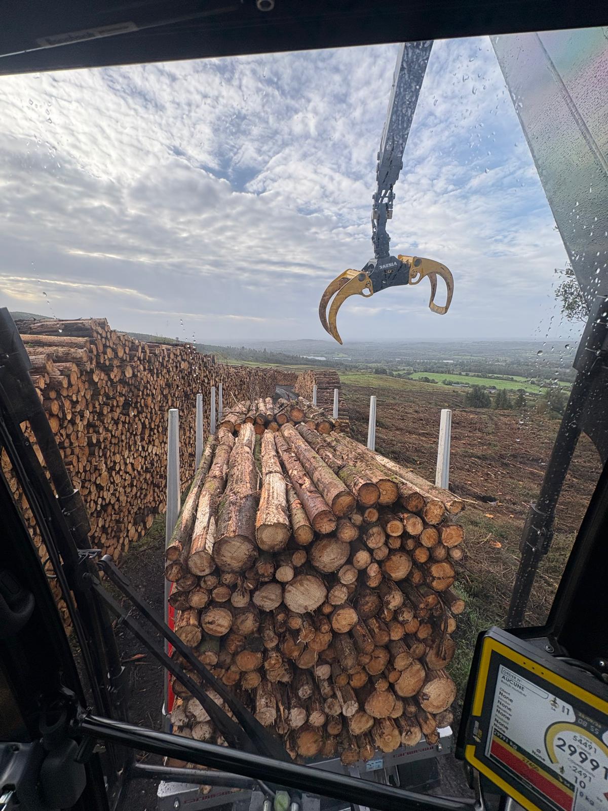 View from the KESLA crane top-seat operator position during timber loading